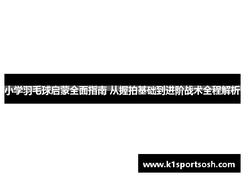 小学羽毛球启蒙全面指南 从握拍基础到进阶战术全程解析